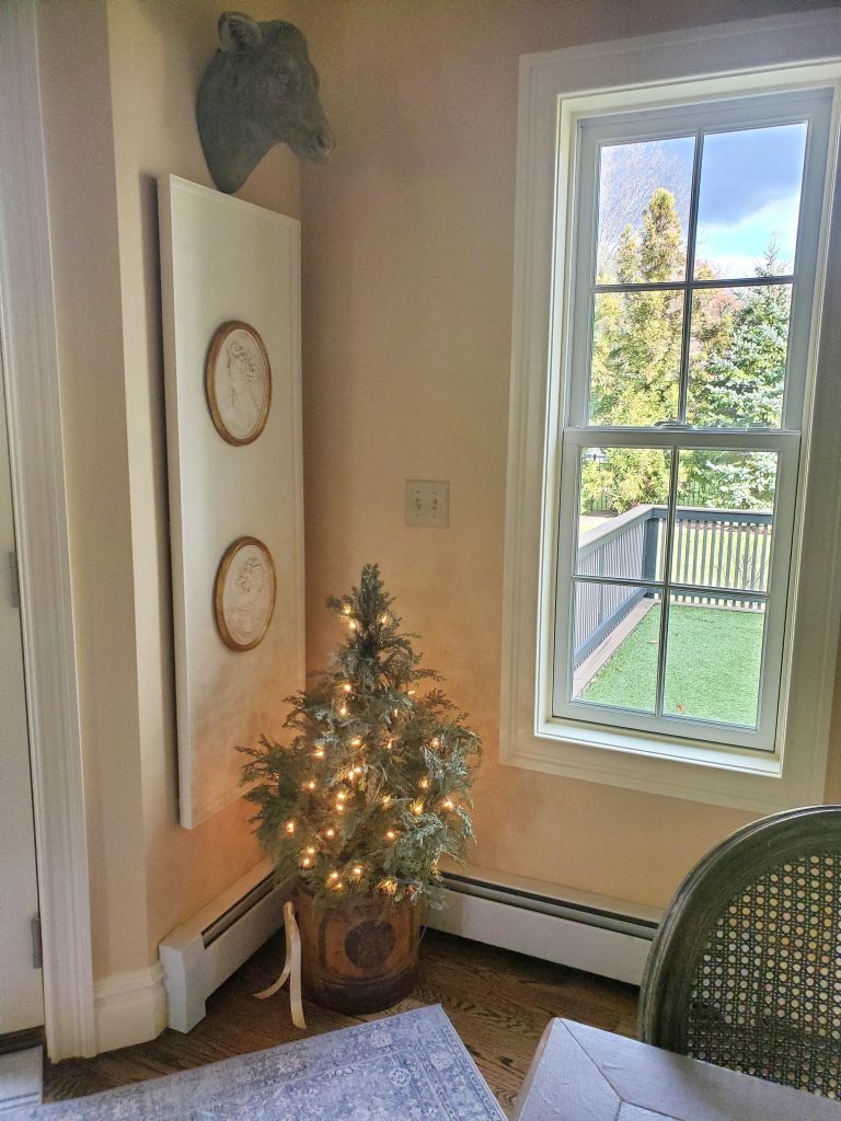 a small tree in a bucket next to cameos on a wall