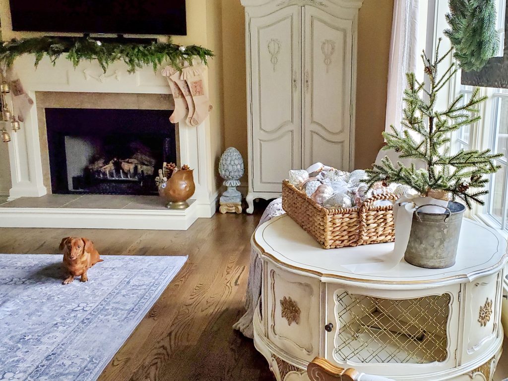 a picture of my dog Reeses and a French table and armoire where a Christmas tree is for a vintage French Christmas