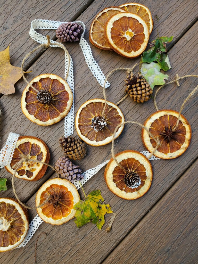 dried oranges