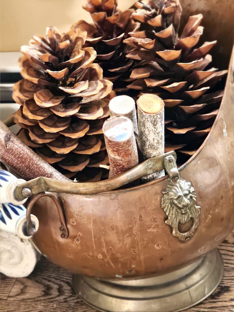 old-coal-skuttle-with-large-pinecones-and-birch-logs