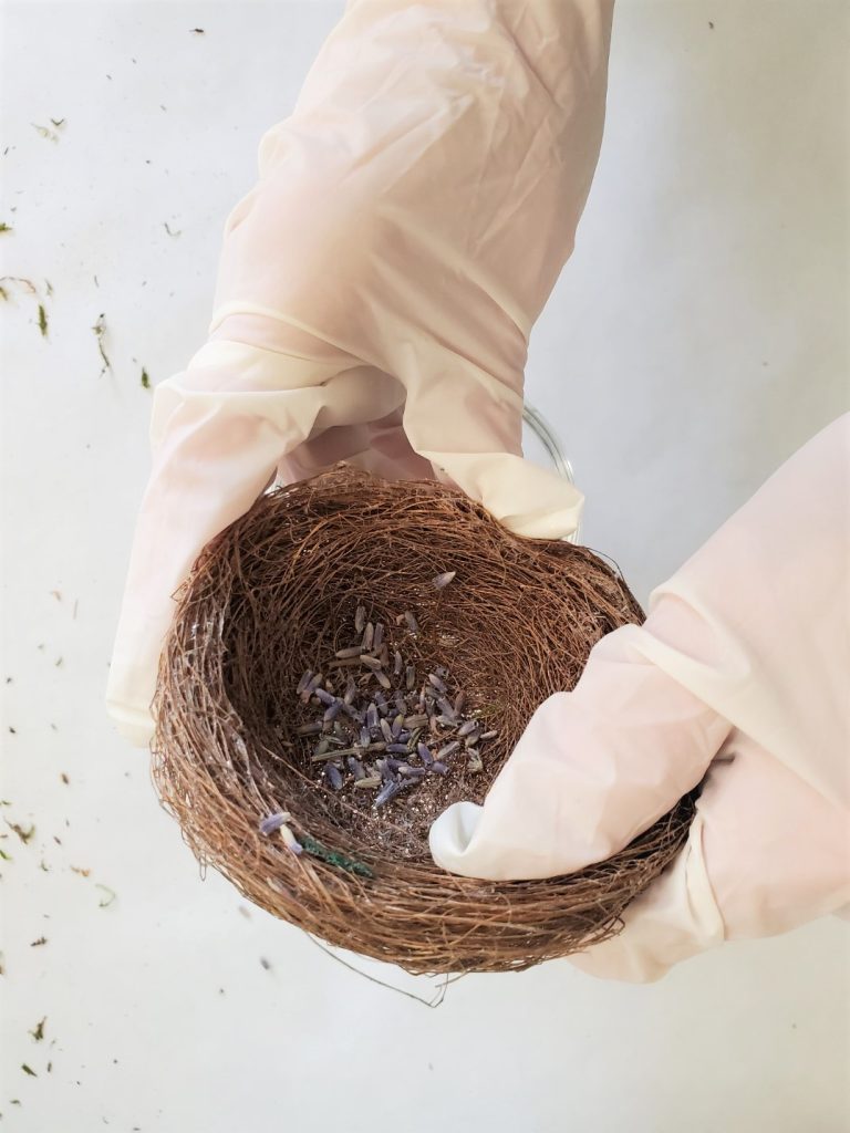 my hands making a bird nest