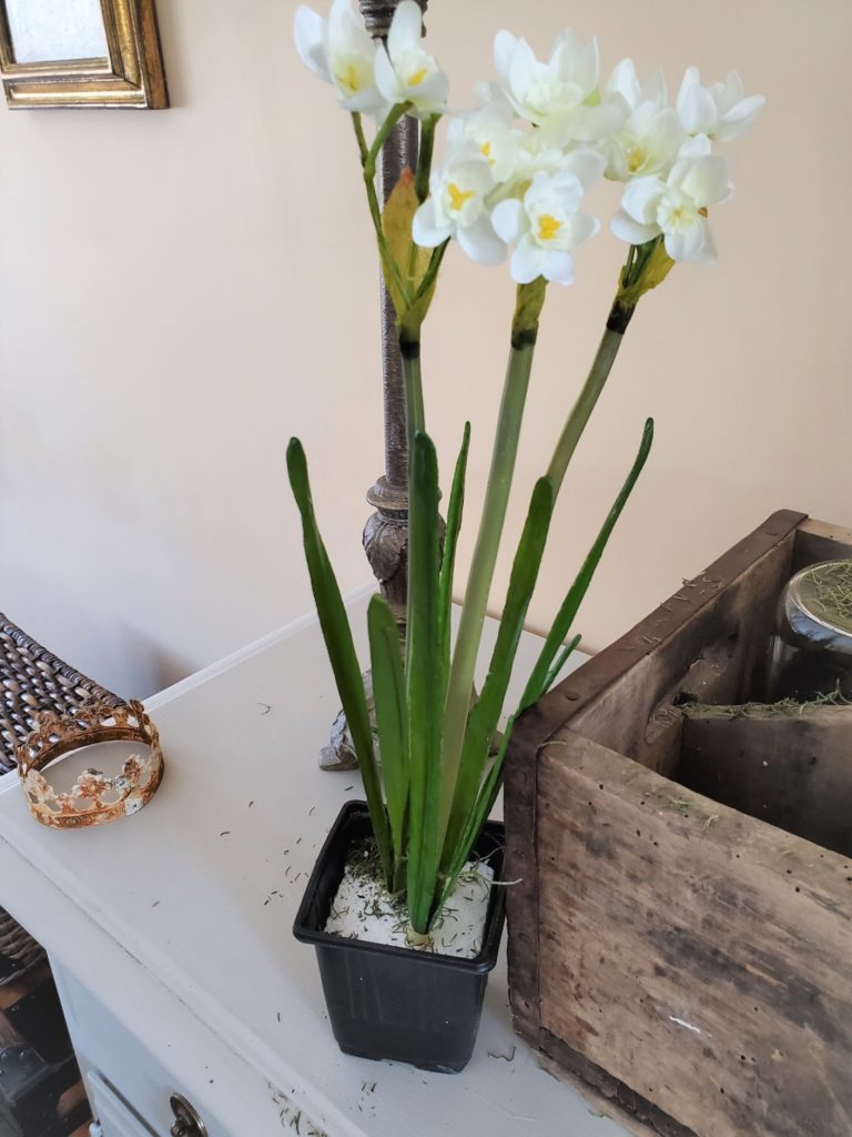 How to Make Easy Daffodil Centerpiece the flowers in a plastic seedling cup with Styrofoam