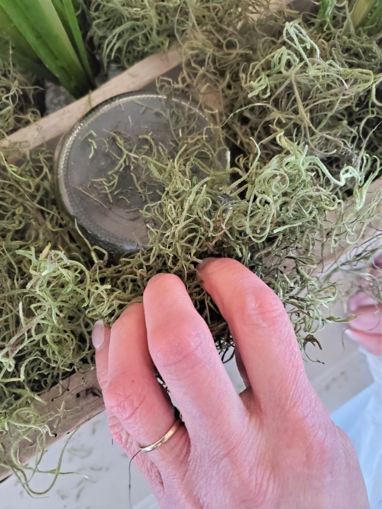 adding green Spanish moss  