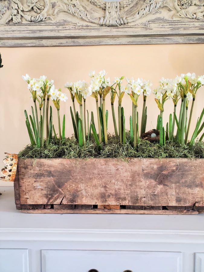 daffodil centerpiece