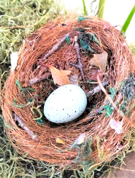 diy-bird-nests-in-minutes-featured-image