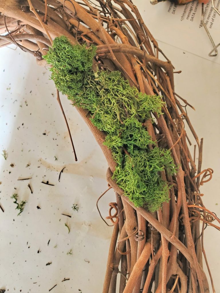 moss on other side of grapevine