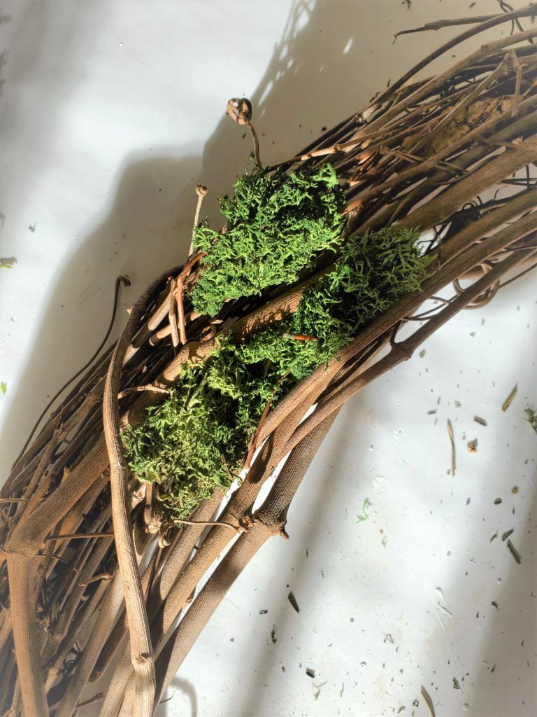 first pieces of the moss glued
