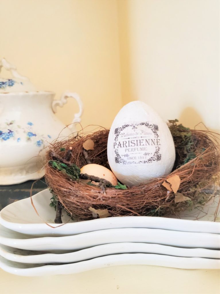 spring decorating an egg in a bird nest