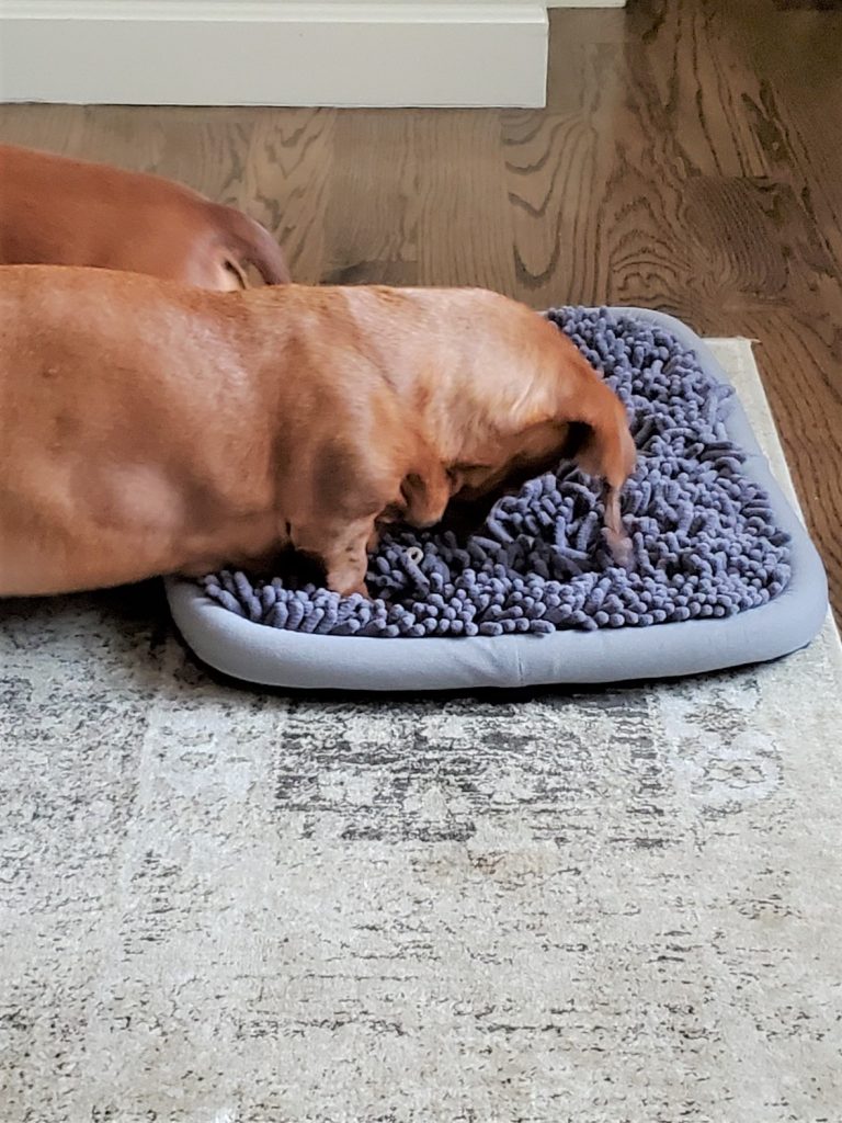 Peanut with her snuffle mat
