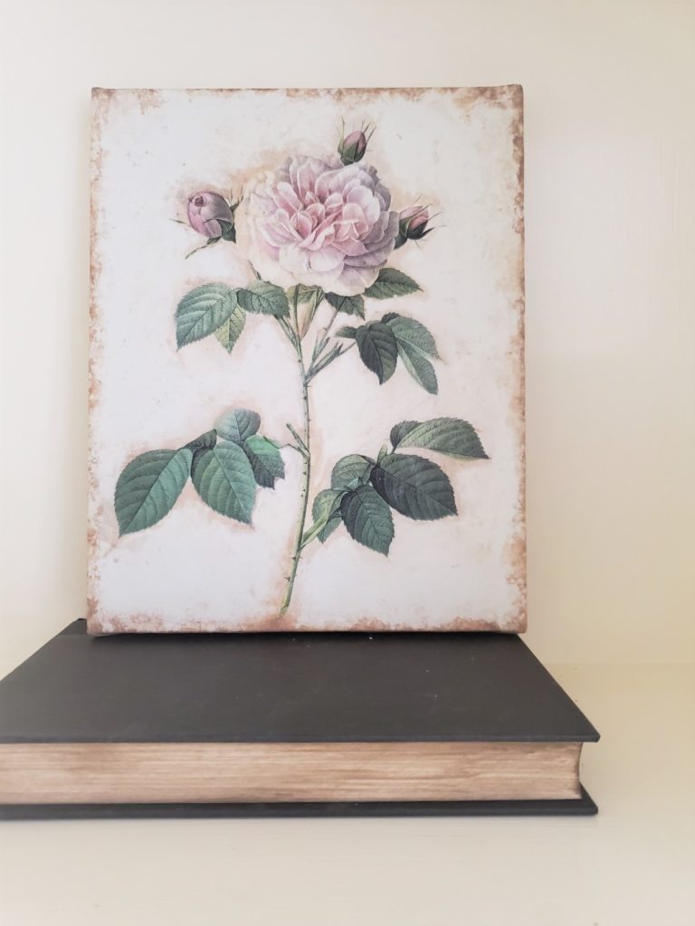 A Piece Forgotten That Brings Me Joy a canvas of a Peony