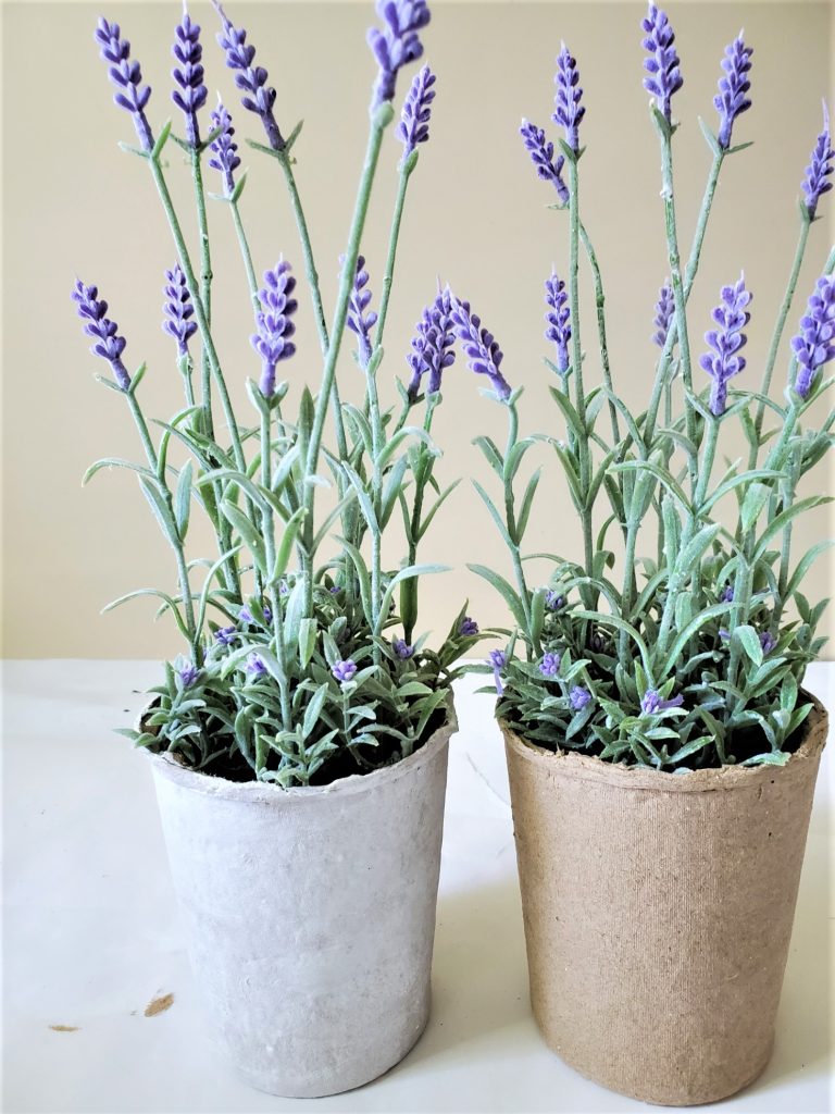 paper-lavender-pot-and-white-gesso