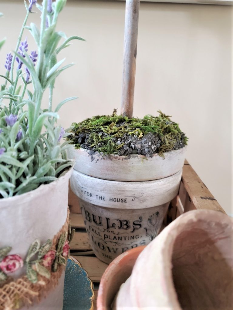 flower-pots-and-topiary