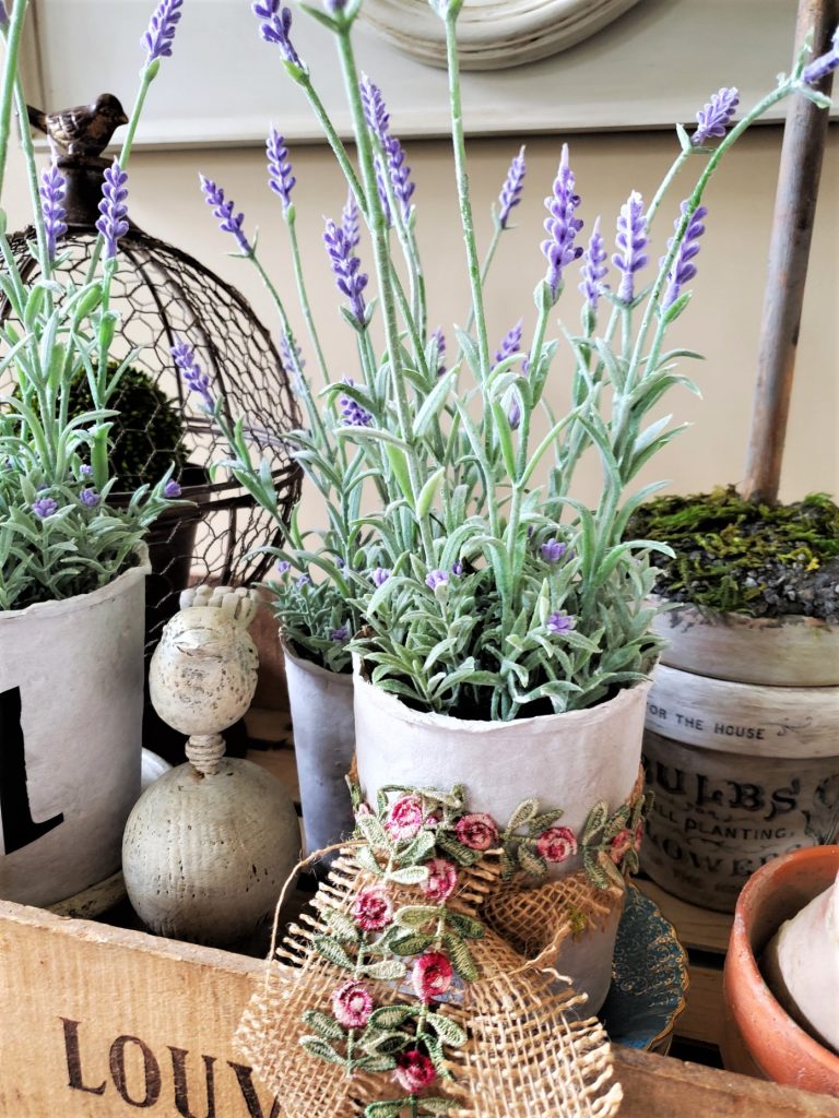 lavender pots