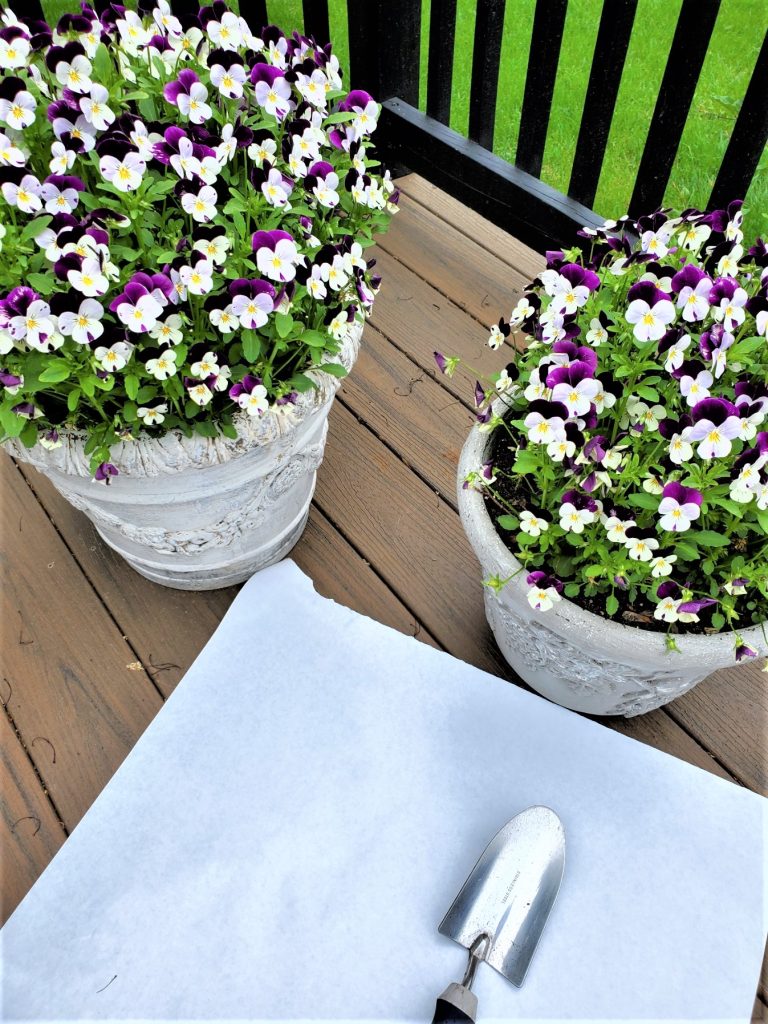 violas in their containers with a hand trowel and paper on the deck to keep the dirt contained