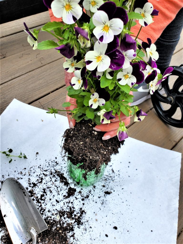 adding the florals to the mason jar