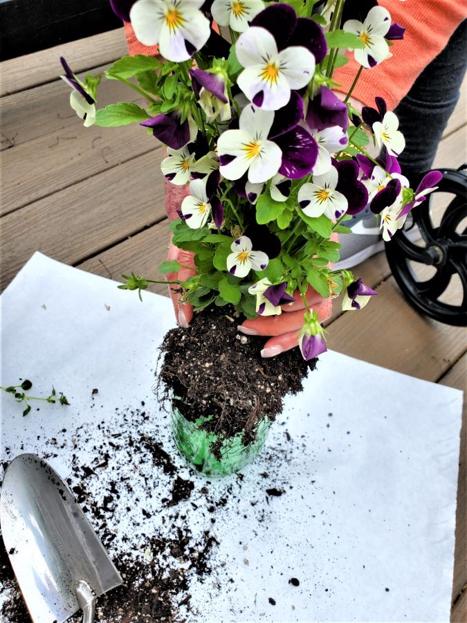 Centerpiece with Flowers and Mason Jars