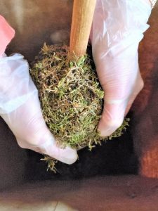 adding-moss-to-topiary-top-in-a-large-brown-paper-bag
