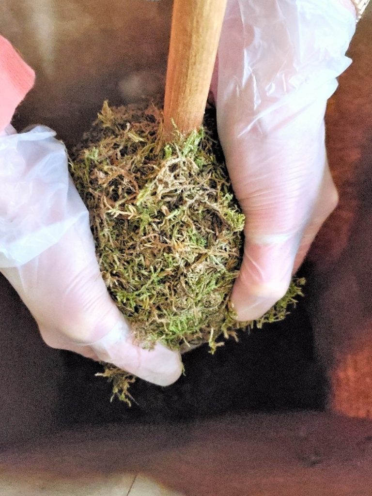 adding-moss-to-topiary-top-in-a-large-brown-paper-bag
