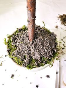 fake-dirt-added-to-topiary-pot