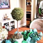 diy-moss-topiary-get-started-right-now-featured-image