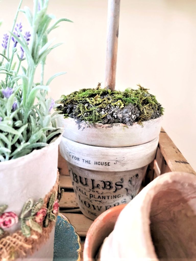 flowerpots-and-topiary-on-an-accent-table