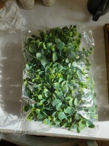 eucalyptus garlands