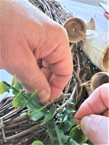 adding the eucalyptus with wire