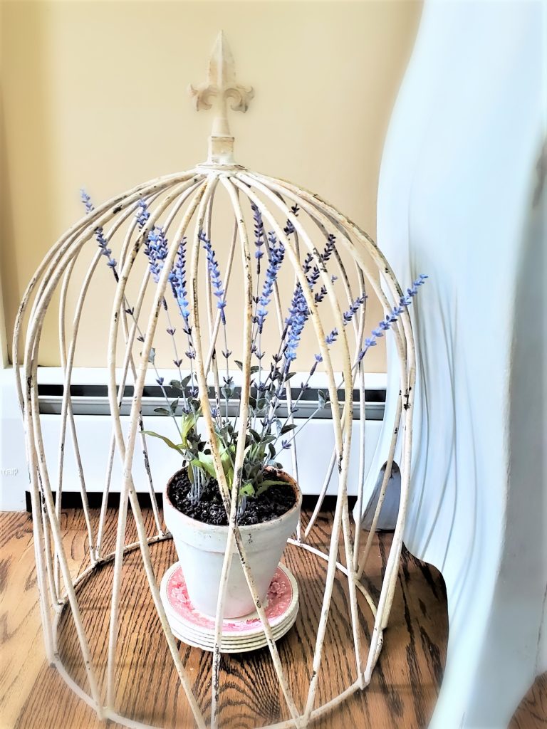 A large cloche 