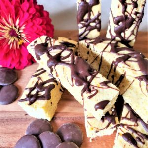 Citru Biscotti with Dark Chocolate Drizzle
