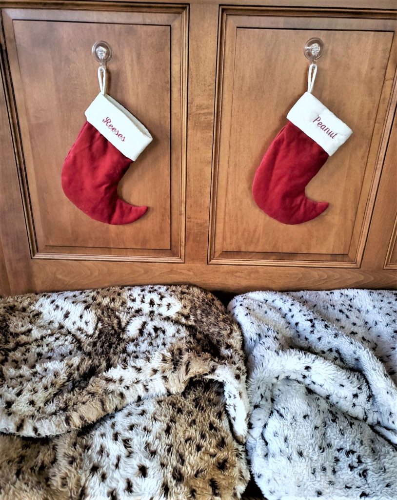 our dogs' stockings in a simple Christmas kitchen
