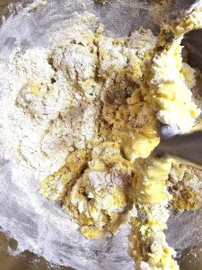 citrus-biscotti-with-dark-chocolate-ingredients.finished-mixing