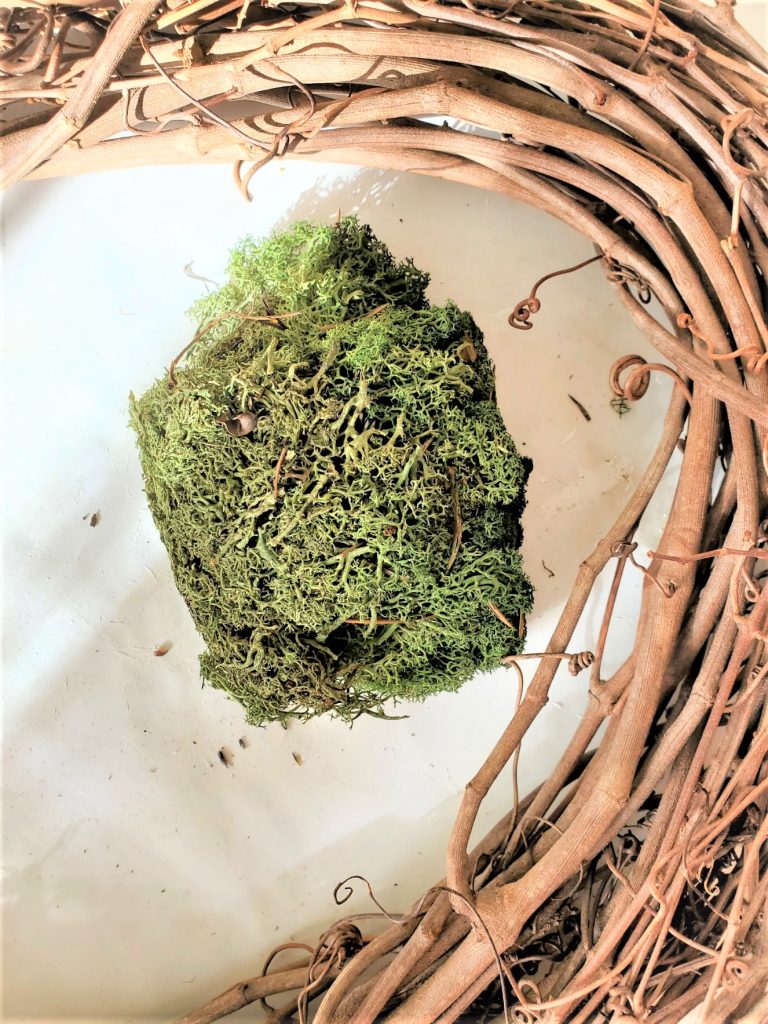 grapevine-and-moss