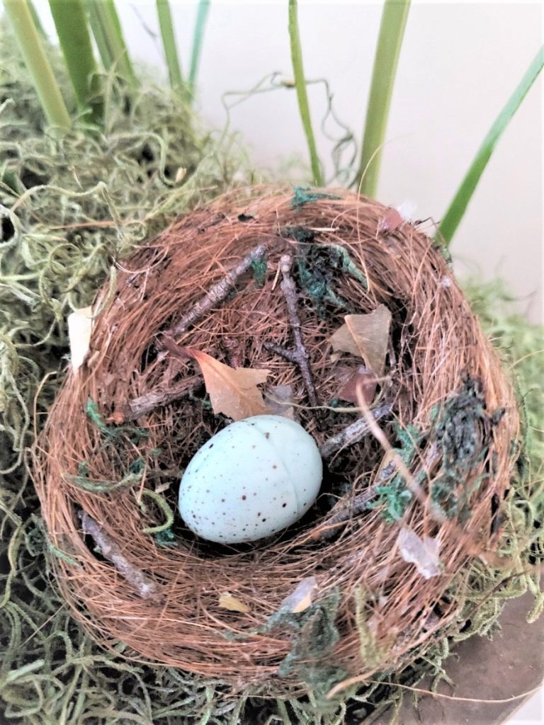 nest-with-robbins-egg-inside
