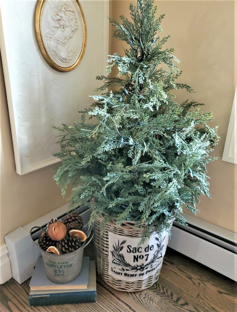 a cedar tree in a French basket