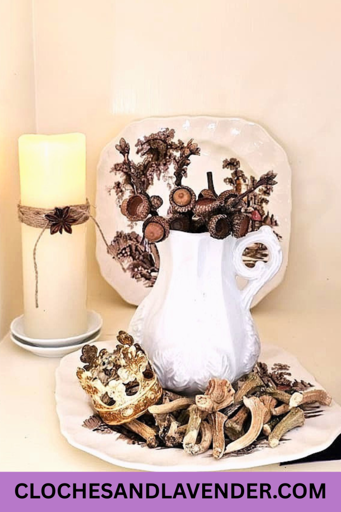 HOW-TO-CLEAN-AND-PRESERVE-ACORNS-FOR-CRAFTS-AND-DECOR-PIN