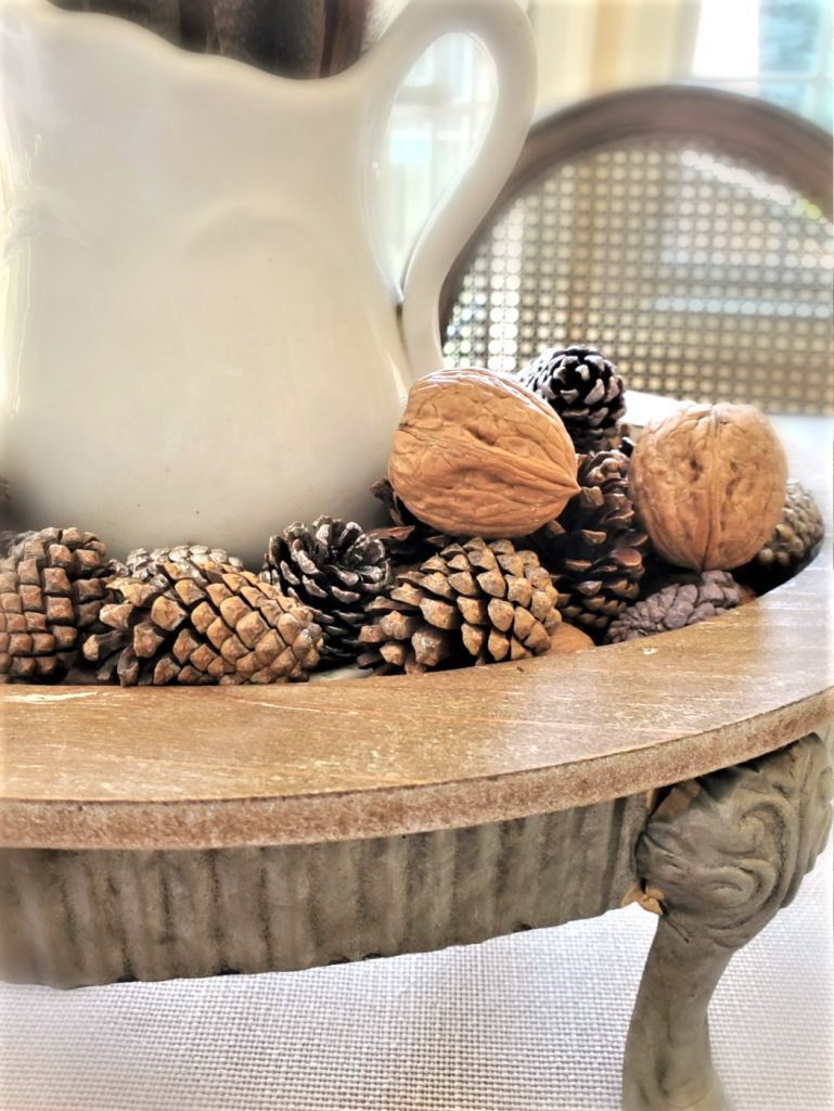 close-up-of-footed-foot-on-tray-walnuts-small-pinecones