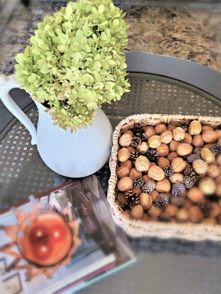 pitcher-books-nuts-in-shells-pinecones