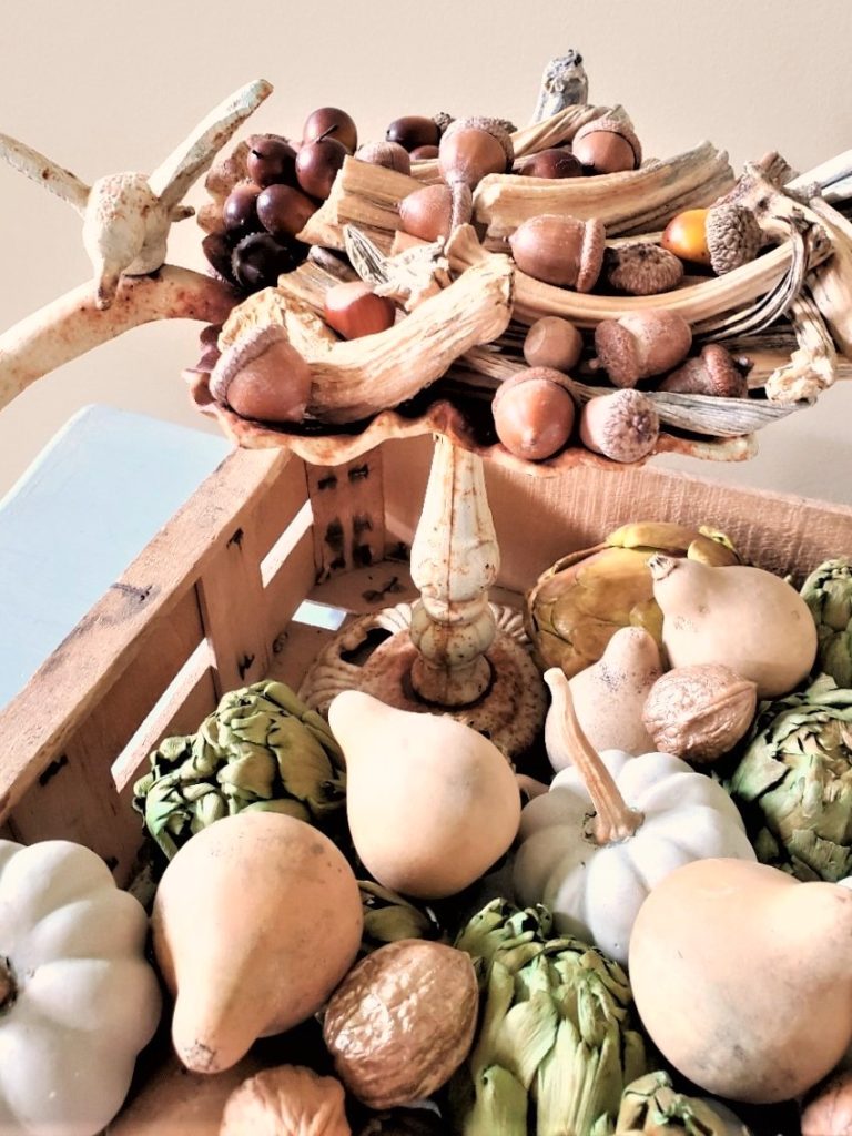 real- acorns-gourds-pumpkin-stems