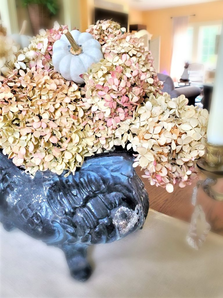 hydrangeas-little-pumpkins