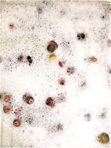 how-to-clean-and-preserve-acorns-soaking-in-soap