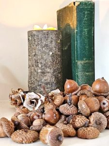 acorns-with-old-book-log-candle-holder-acorns