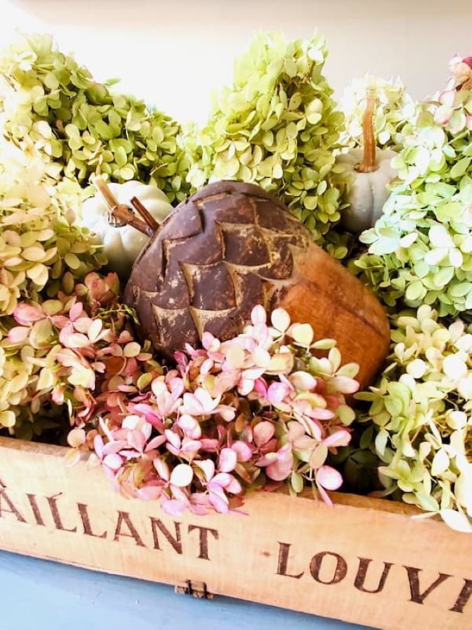 how-to-clean-and-preserve-acorns-wood-acorn-with-dried-hydrangeas-featured-image