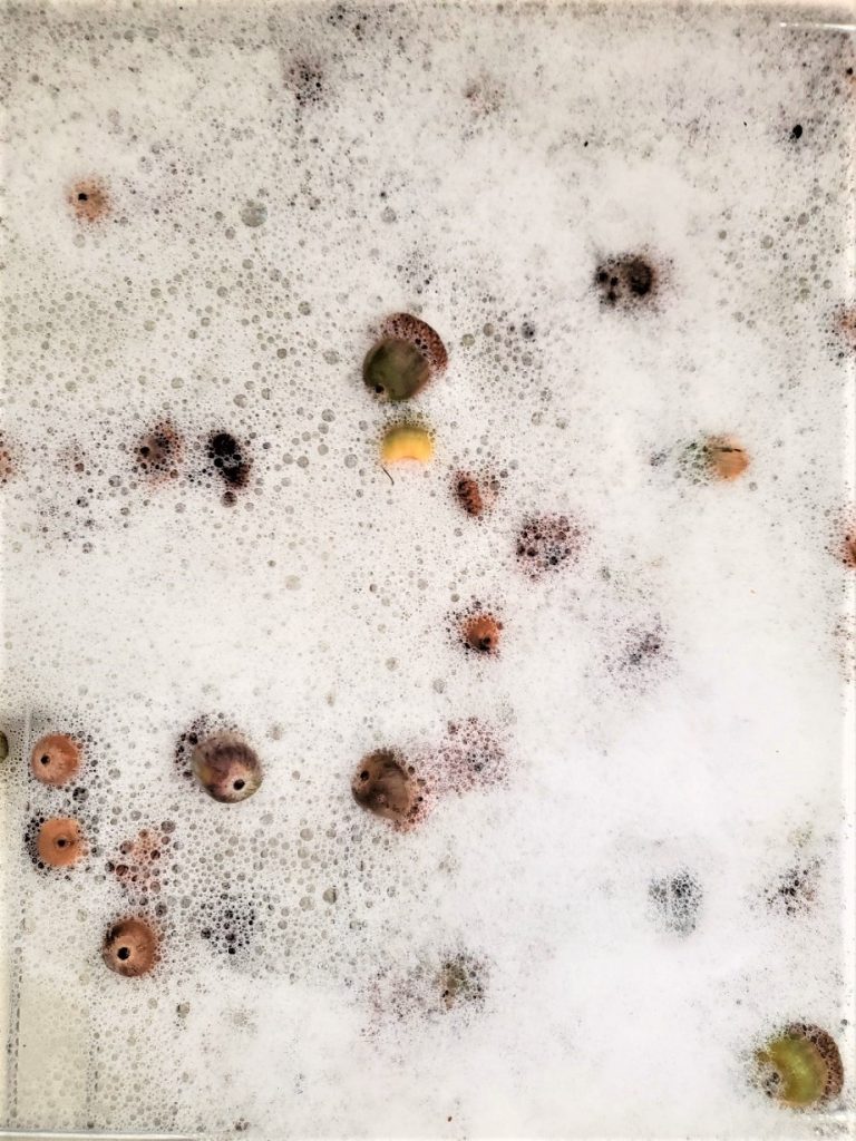 soaking-in-soap