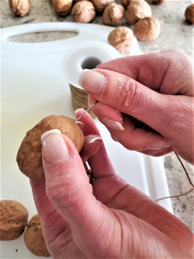 Showing the thread, needle and the needle getting pushed through to make the easy fall walnut garland