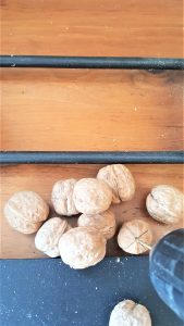 walnuts-to-get-holes- drilled-easy-fall-garland