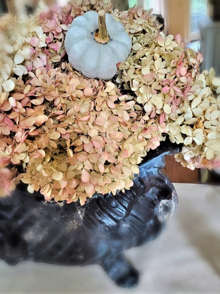 Hydrangea centerpiece with small pumpkin