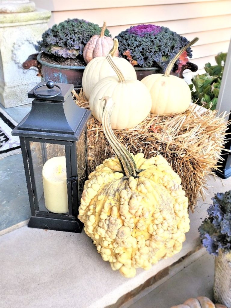 bumpy-pumpkin-lantern-white-pumpkins-hay
