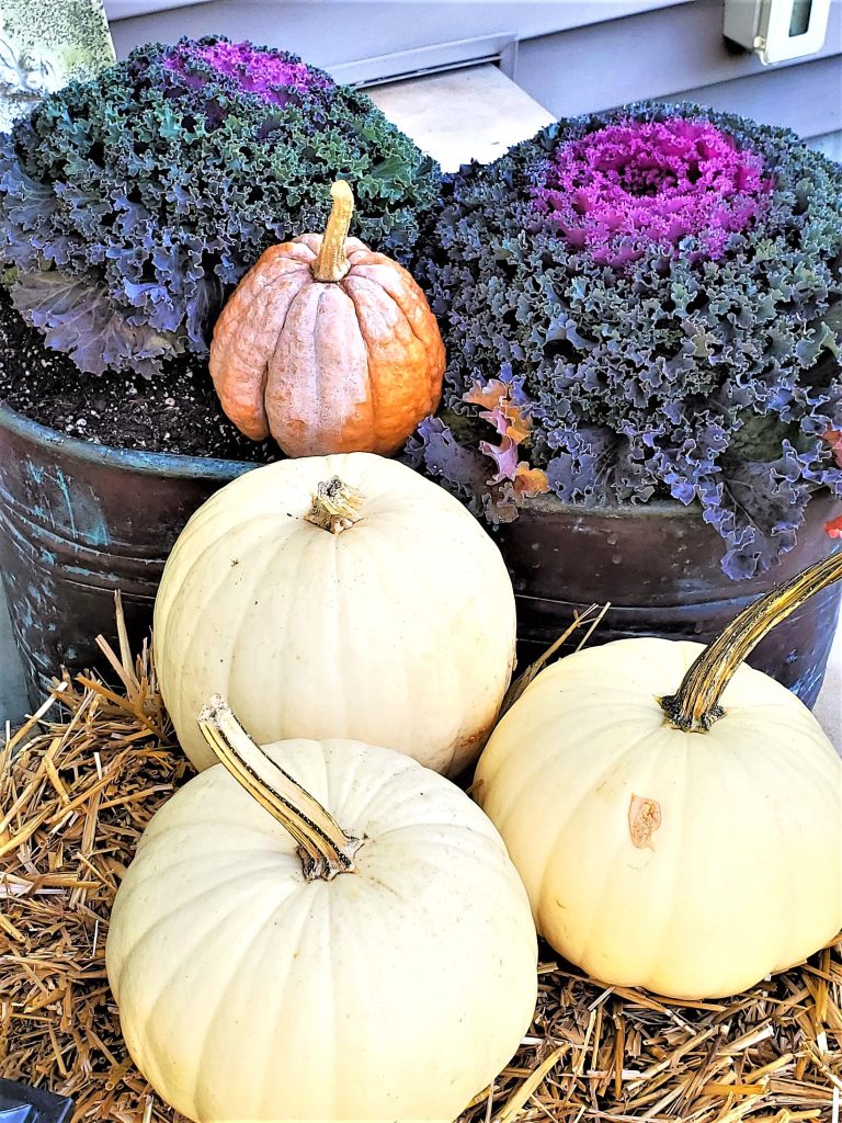 kale-in-old-copper-boiler-pot-white-pumpkins-on-hay