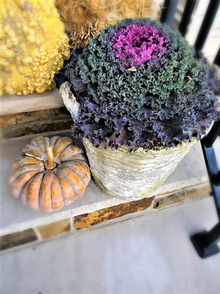 diy-fall-porch-sign-kale-small-orange-pumpkin