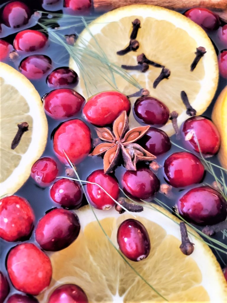 Christmas-simmer-pot-recipes-close-up-of-the-Star-anise- cranberries-cinnamon-sticks-and-evergreens